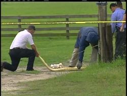 A 12-foot pet Burmese python broke out of is enclosure and strangled a 2-year-old girl in her bedroom Wednesday at a central Florida home, authorities said Instructional Video