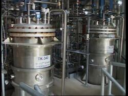 US researchers solving the dilemma over biofuel or food News Clip