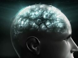 how brain works Stock Footage