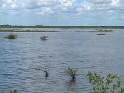 Nature Landscape With Water Stock Footage