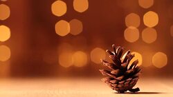 Pine cone on a New year background. Stock Footage