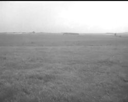 BATTLE OF WATERLOO News Clip