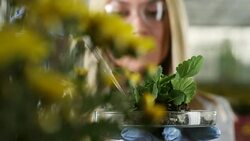 Young female biologist at greenhouse Stock Footage