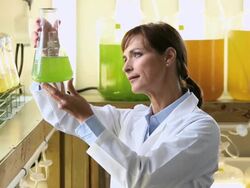 MS Scientist in Biology Tech Laboratory Inspecting Liquid in Beaker / Eastville, Virginia, United States Stock Footage