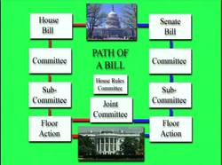 The Legislative Branch Of Government - How A Bill Becomes A Law Instructional Video