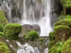 lush green waterfull Stock Footage