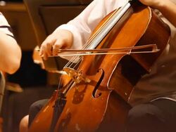 HD:Violoncello players. Stock Footage