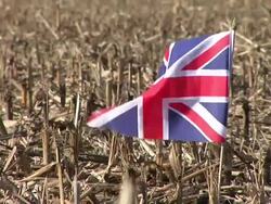 HD: British flag Stock Footage
