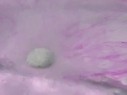 Potassium metal reacting with water. Stock Footage