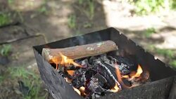 Man puts the firewood into the fire. Stock Footage