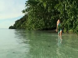 Explorer woman coasting a wild tropical island amid unspoilt vegetation Stock Footage