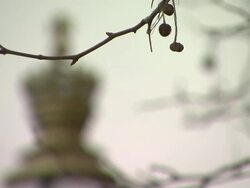 Westminster Winter Stockshots News Clip