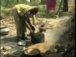 Claims Sunderbans islands at risk from climate change News Clip