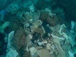MS Trash with plastic bag at ground of under water / Mediteranean sea Stock Footage