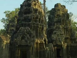 Tilt Down Shot Temple of Ta Prohm Angkor Wat Siem Reap Cambodia Stock Footage