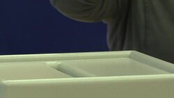 CLEAN : Hungary begins voting on EU migrant plan News Clip