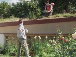 MS ZO WS Man giving tray of plants to woman with baby on green roof and planting flowers in garden below / Seattle, Washington, USA Stock Footage