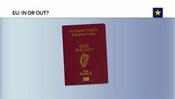 EU Referendum Vote Fuelling UK Rush For Irish Passport Applications News Clip