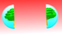 TED-ED: The left brain vs. right brain myth - Elizabeth Waters Instructional Video