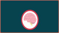 Rising Pet Care Costs Might Tell Us Something about Human Health Care Costs Instructional Video