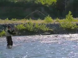 Fly Fishing Stock Footage