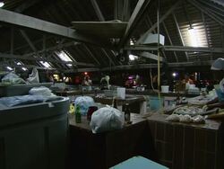 MS Fish shop / Brightown, Barbados Stock Footage