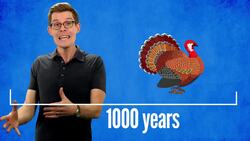 The Surprising Origin of Thanksgiving Foods Instructional Video