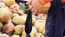 Coconut Stock Footage