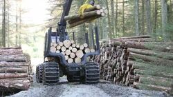 Freshly cut timber in Grizedale forest, Lake District, UK, being hauled to the roadside by an ATV. Stock Footage