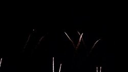 Bottom-emission Firework Stock Footage