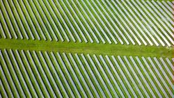 AERIAL: Solar Power Station Stock Footage