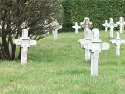 HD: War victims Stock Footage