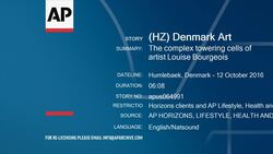 The complex towering cells of artist Louise Bourgeois Instructional Video