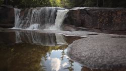 Liquid Instructional Video