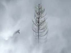 HD Flood Waves Destroying Valley (Loopable) Stock Footage