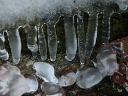  CU View of  icicles and water  /  Kastel-Staadt, Rhineland-Palatinate, Germany Stock Footage