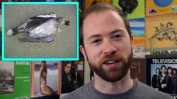 Is Instagram Revolutionizing Photography? Instructional Video