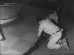 Snake weighing at the Bronx Zoo Stock Footage