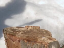 CU Shot of Man using his foot to remove axe from log and chop   log  / Toronto, Ontario, Canada  Stock Footage