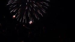 Beautiful Firework Blooming Stock Footage