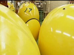 A small factory in Japan introduced its first tsunami survival shelter, a capsule which can float on water and is able to hold four adults inside. News Clip