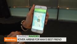 Rover: Are Investors Barking Up the Wrong Tree? News Clip