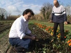 VOICED: Organic the new flavour for French elite cuisine News Clip