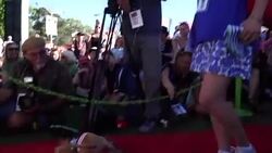 CLEAN : Worlds ugliest dog competition in Petaluma News Clip