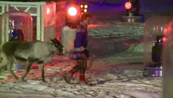 CLEAN : Umea officially European Culture Capital c News Clip