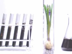 Botany laboratory over white background Stock Footage