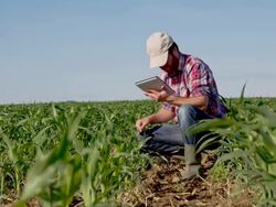 LS DS Farmer Checking Plants With A Digital Tablet Stock Footage