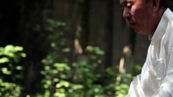 old man practice tai chi in the park Stock Footage