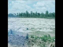 CUTS 21/5/80 KHMER REFUGGEES IN NEW CAMBODIAN CAMP News Clip