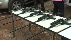 CLEAN : FILE: Dozens of dead cubs found at Thai tiger temple News Clip